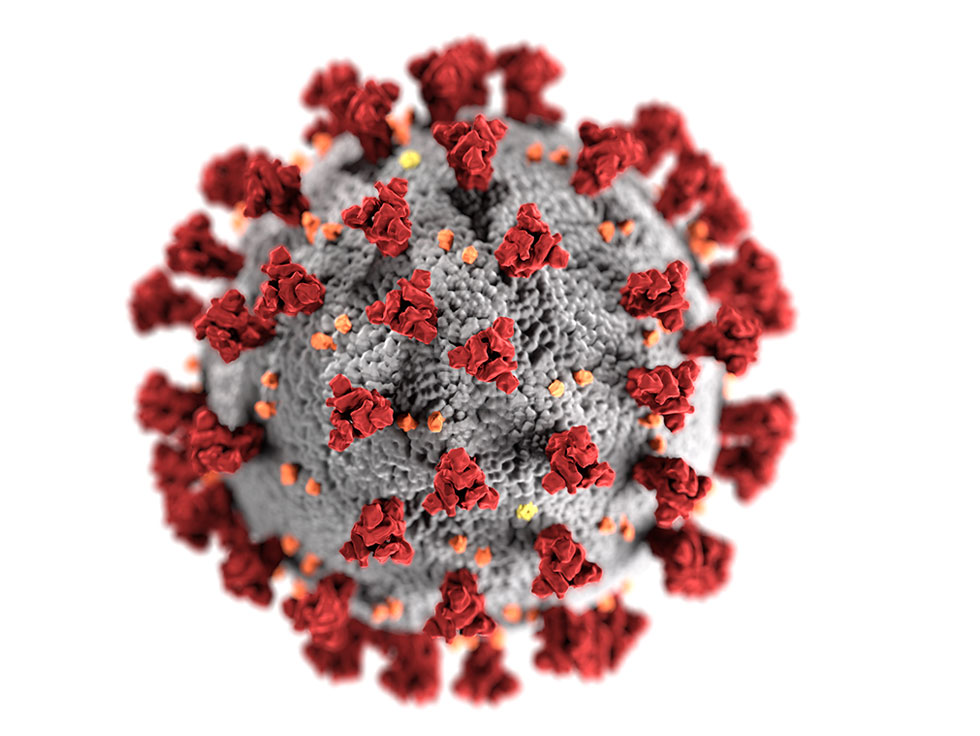 MDVIP's resource center for coronavirus and COVID-19.